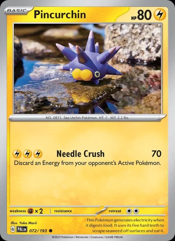 Pincurchin