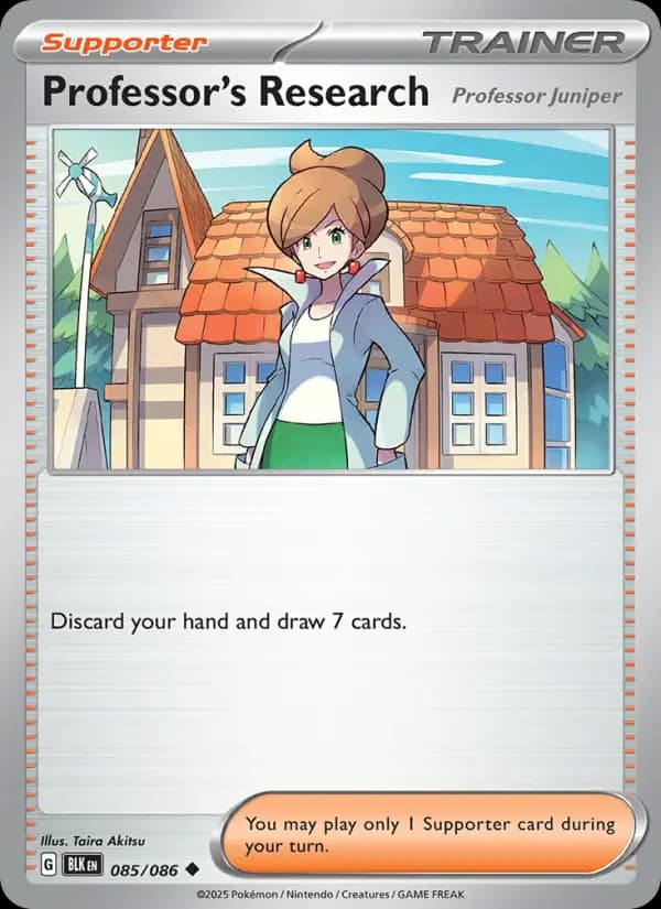 Professor's Research