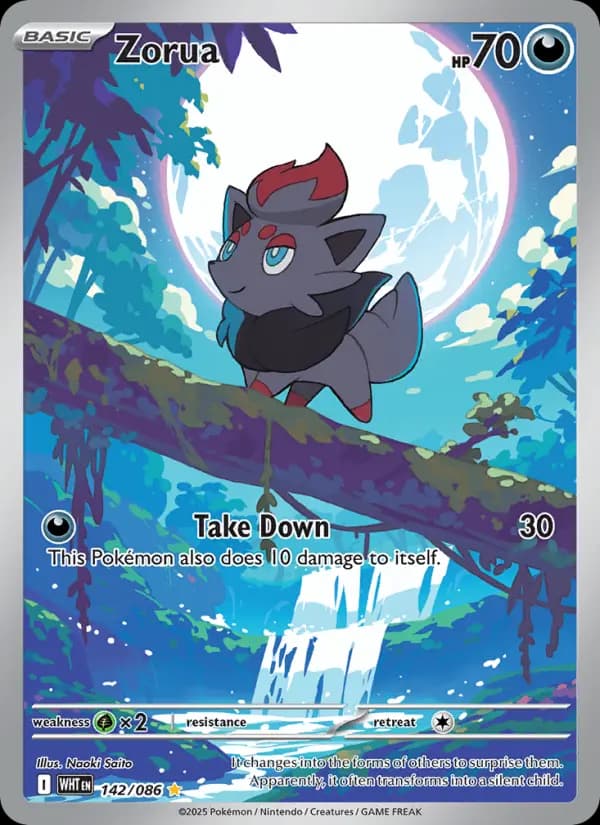 Zorua