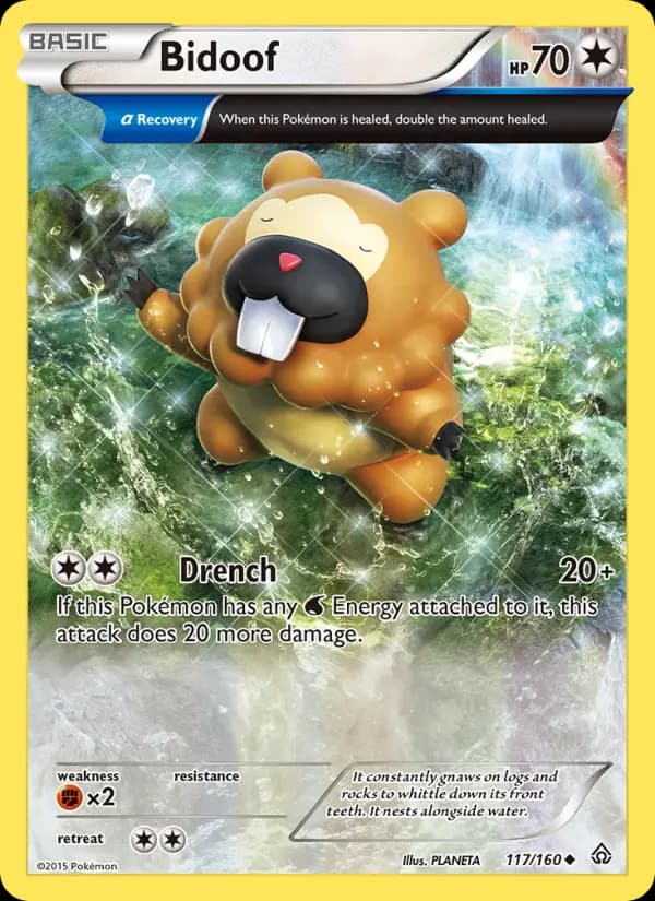 Bidoof