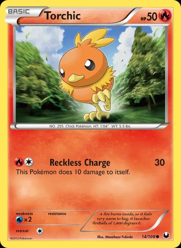 Torchic