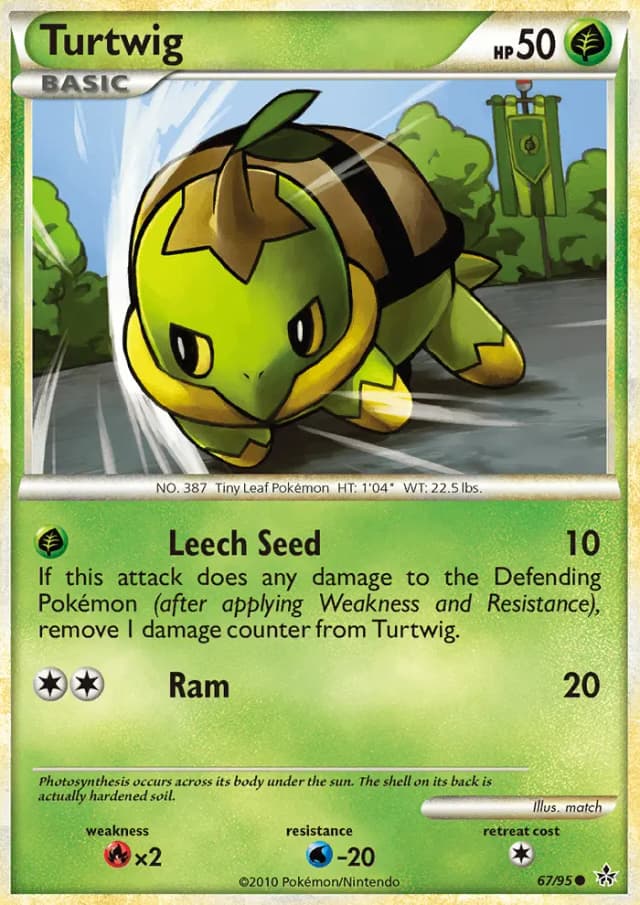 Turtwig
